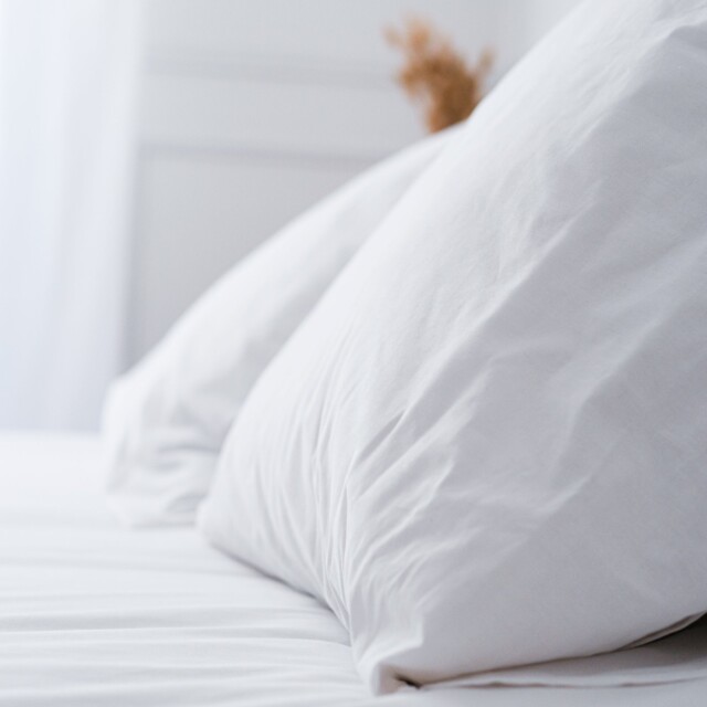 Dejorine - Taies d'oreiller X2 en Percale de coton - Blanc