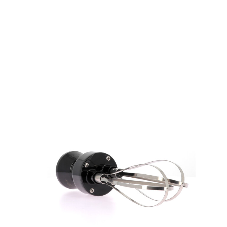 - Double fouet mixeur plongeant MINIPRO