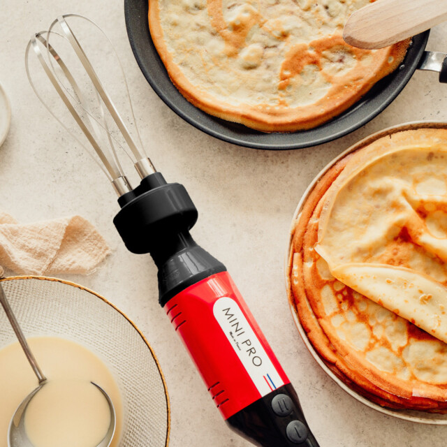 - Double fouet mixeur plongeant MINIPRO