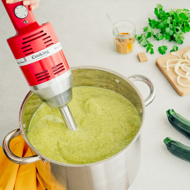 - Mixeur plongeant MAXIPRO rouge Couleurs Rouge