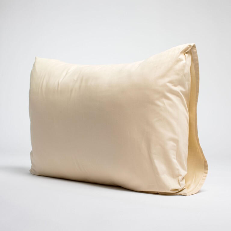 Dejorine - Taies d'oreiller X2 en Satin de coton - Beige ivoire – 80x80cm