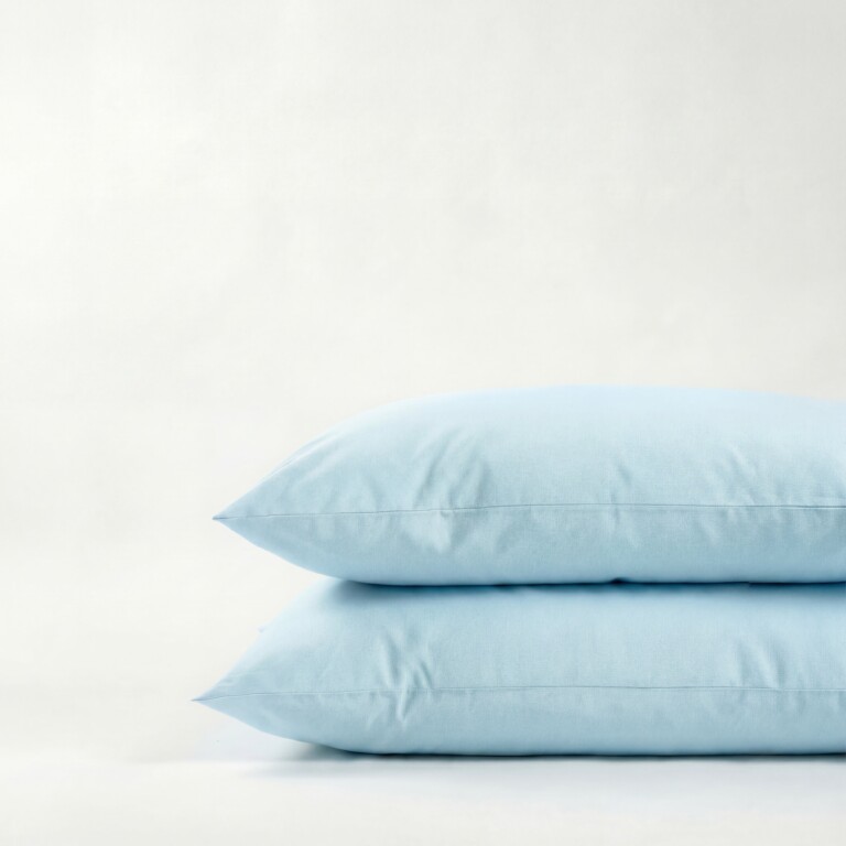 Dejorine - Taies d'oreiller X2 en Coton - Bleu clair