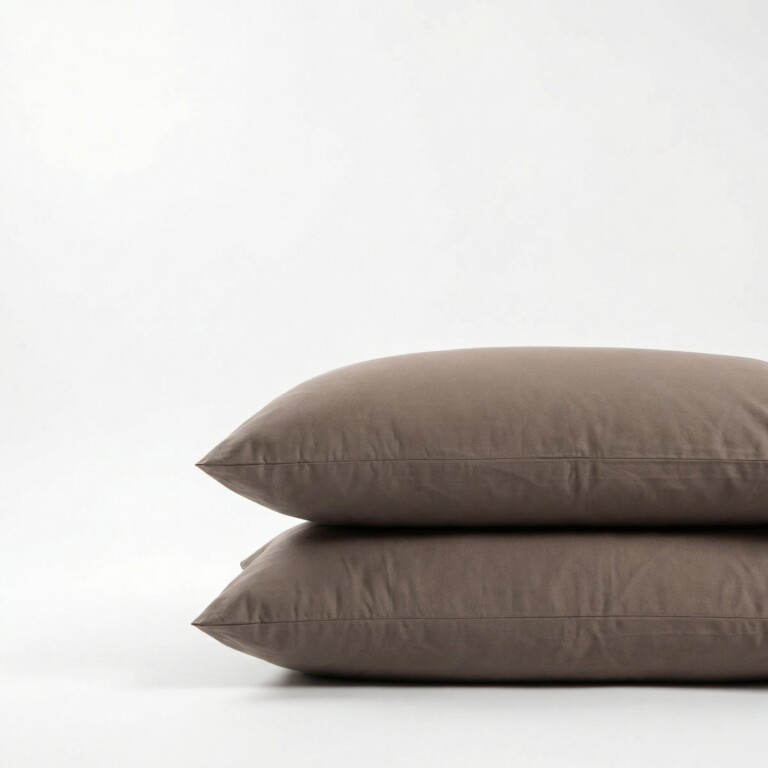 Dejorine - Taies d'oreiller X2 en Coton - Marron taupe