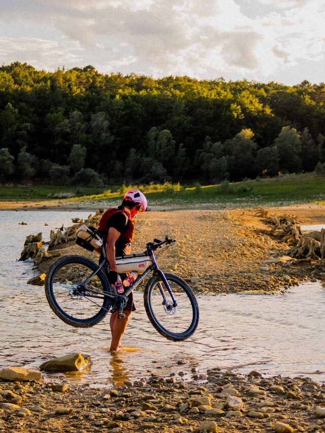 Atelier Velocidade - Gypaète