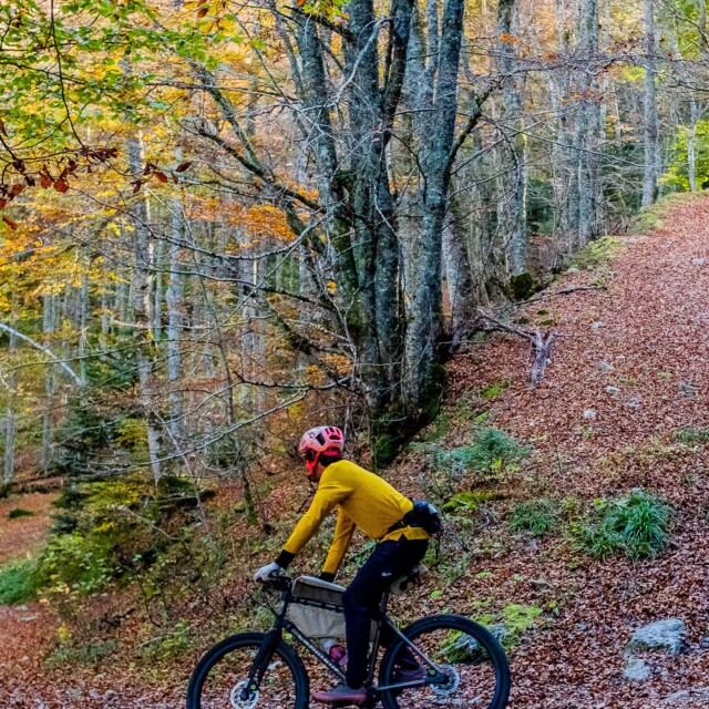 Atelier Velocidade - Satellite