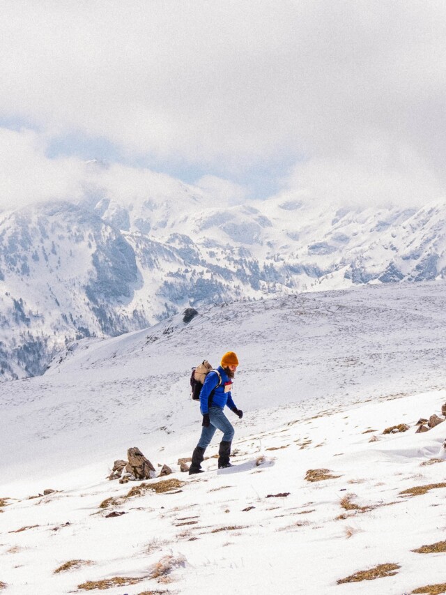 Atelier Velocidade - Cigogne - Tour de Cou