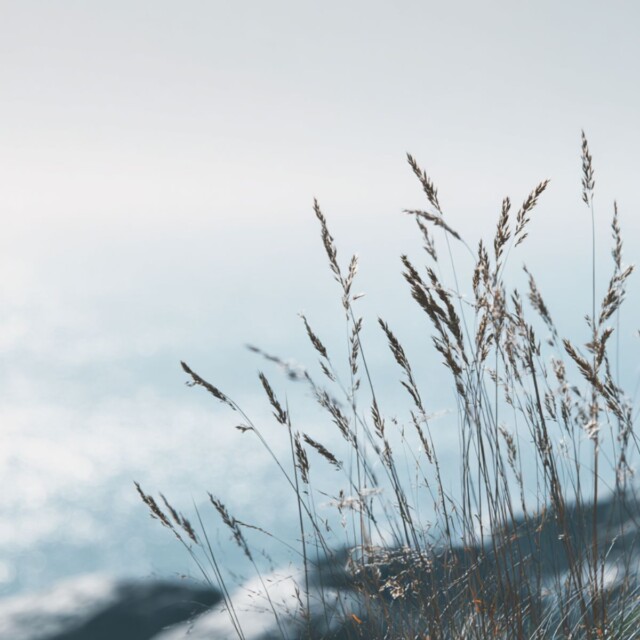 Enez - Diffuseurs - Breizh Marine