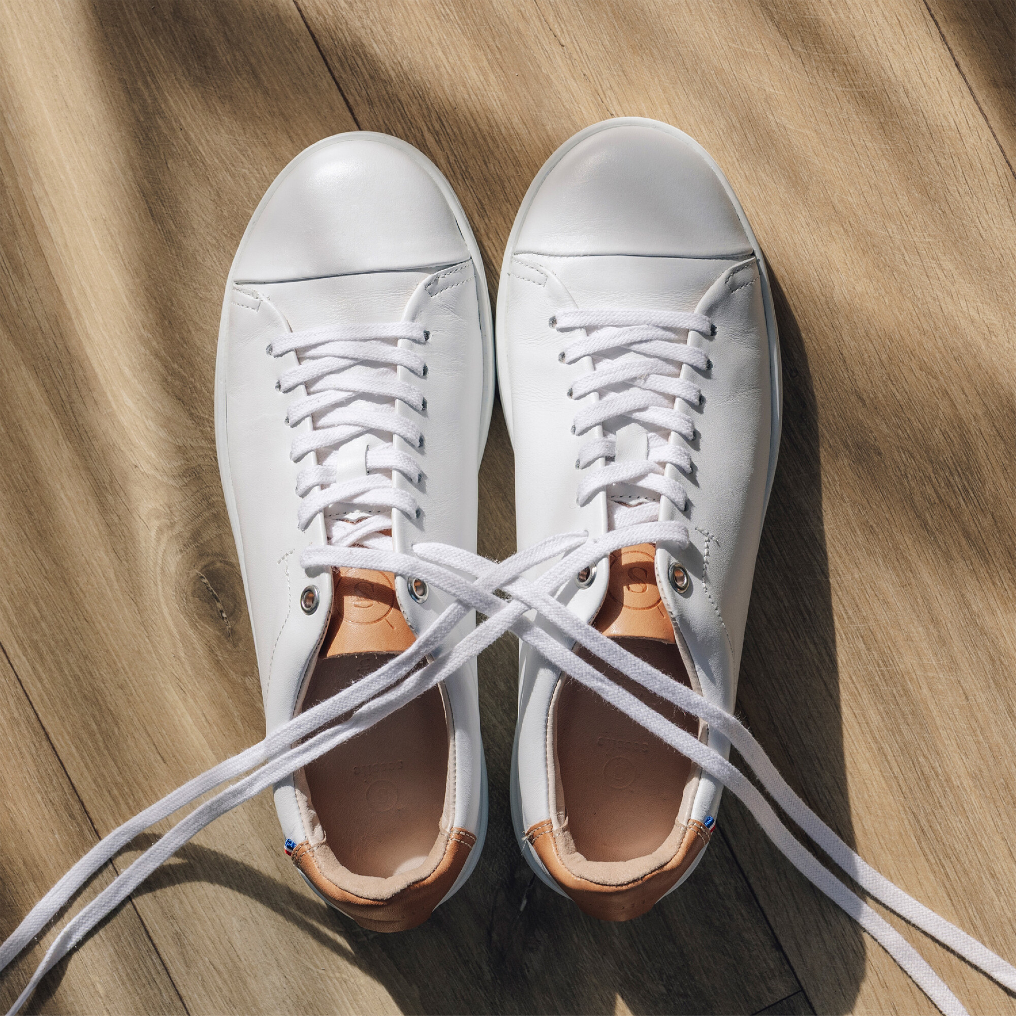 Sessile - Abélia Blanc