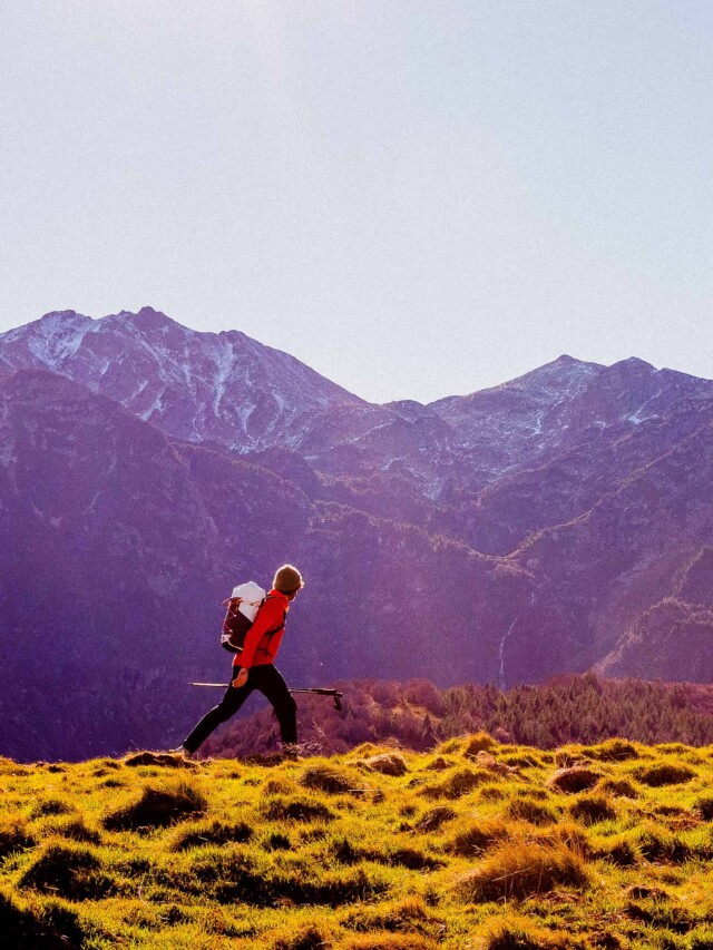 Atelier Velocidade - Polaris (Personnalisable)