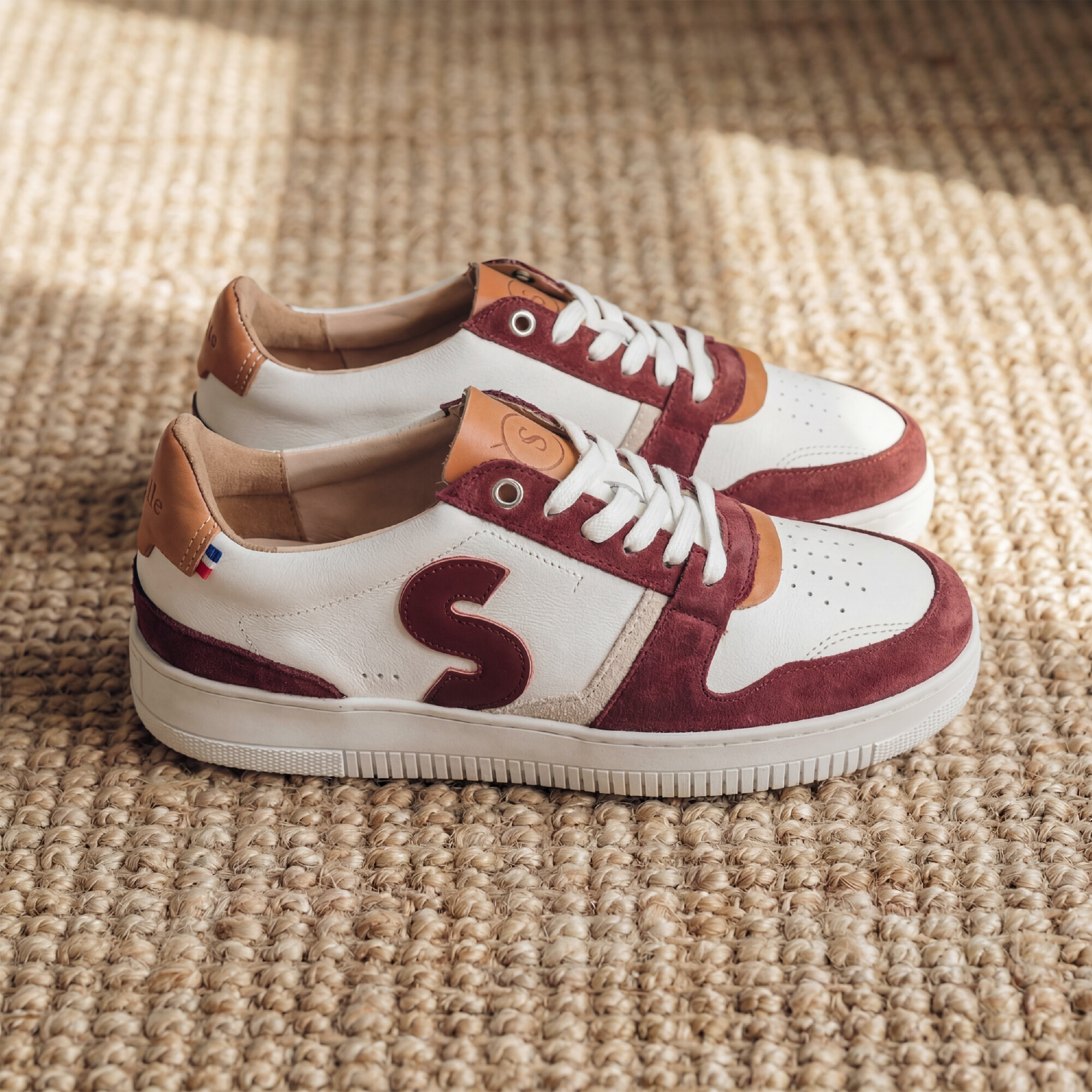 Sessile - Bellis Blanc Bordeaux