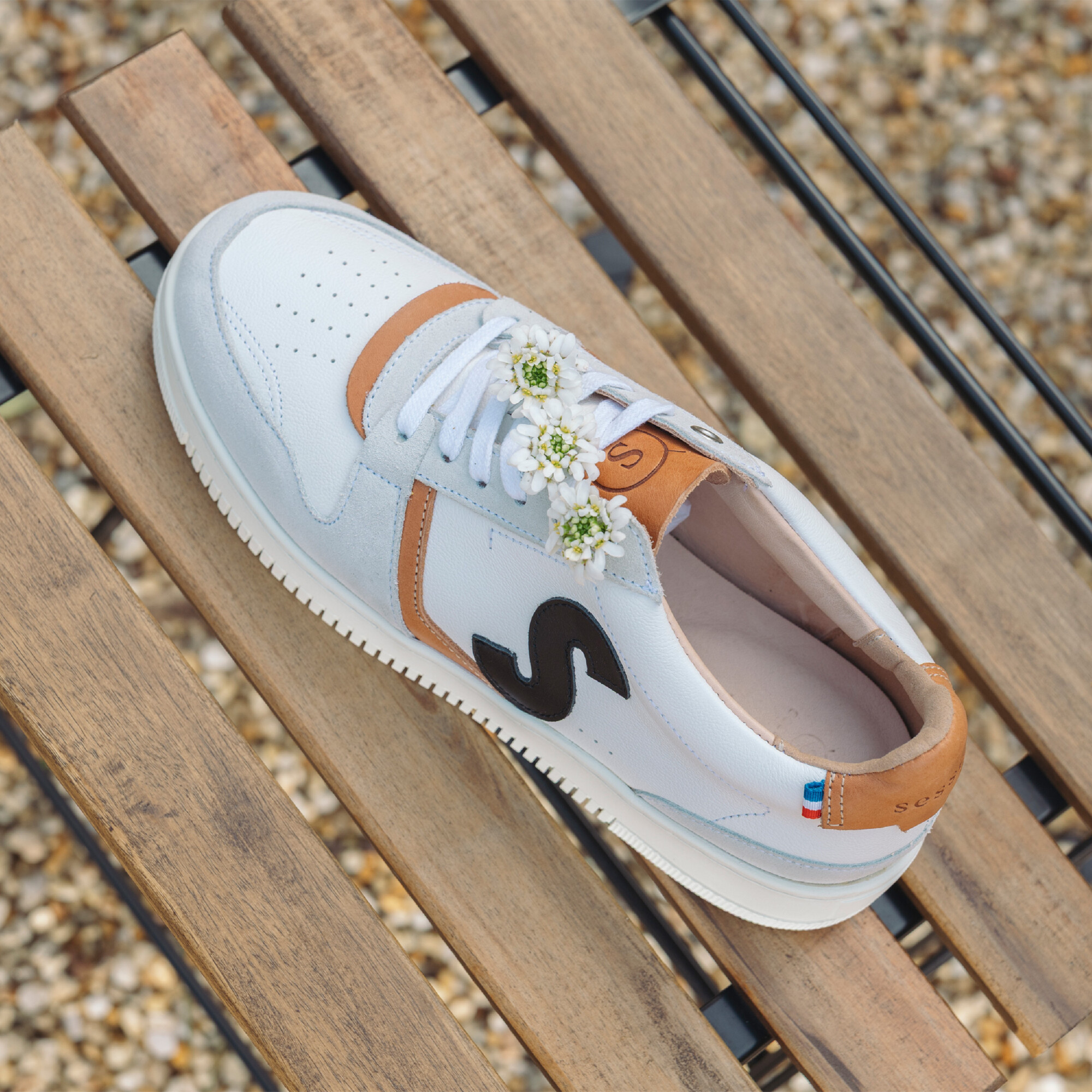 Sessile - Bellis Blanc Gris