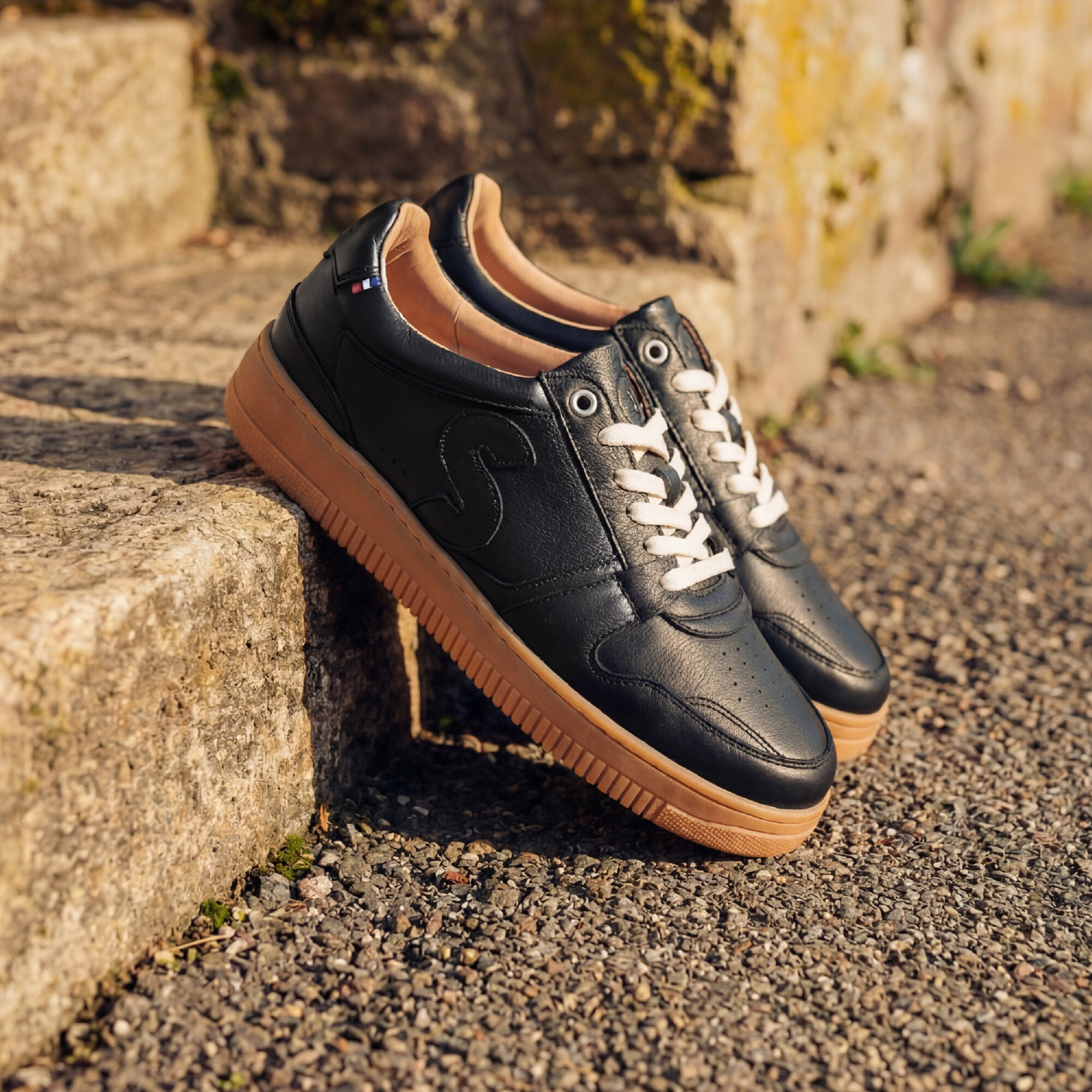 Sessile - Bellis Noir