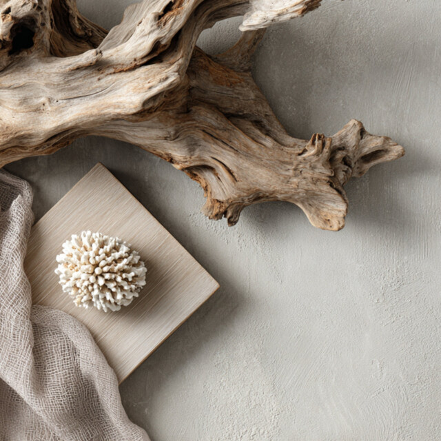 Enez - Bougie - Bois Flotté