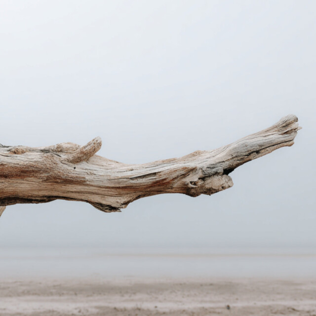 Enez - Spray - Bois Flotté