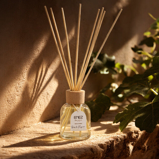 Enez - Diffuseurs - Sous le Figuier