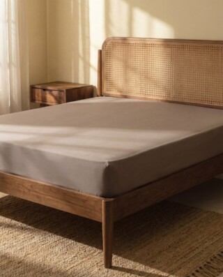 DEJORINE - Drap housse en Coton – Marron taupe