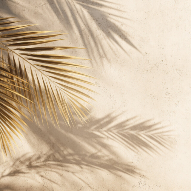 Enez - Bougie - Coco Vanillée