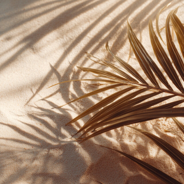 Enez - Recharge - Coco Vanillée