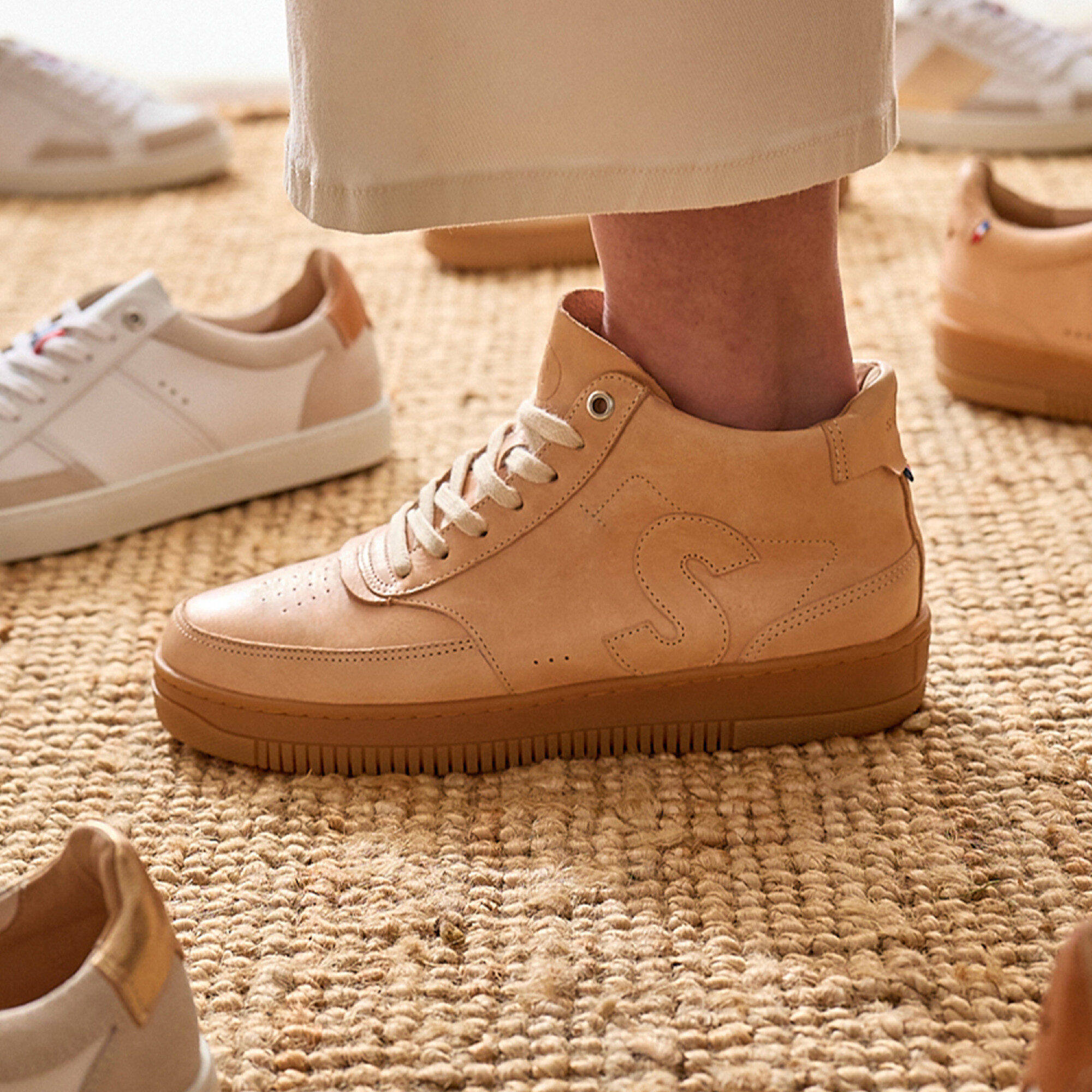 Sessile - Sureau Blond