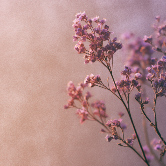 Enez - Spray - Violette Sauvage