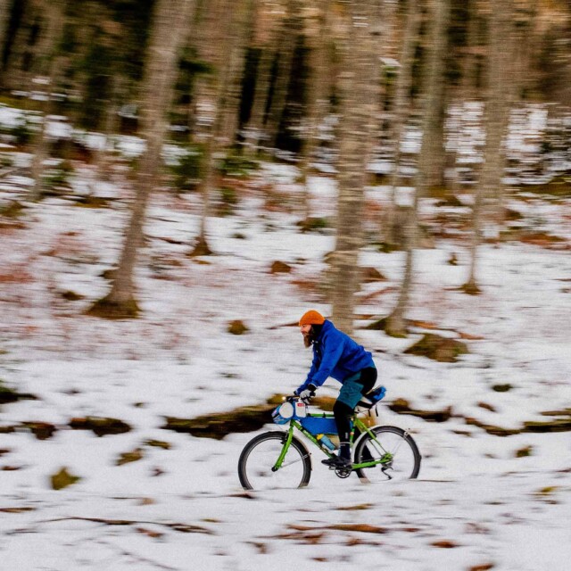 Atelier Velocidade - Gypaète