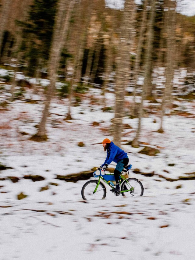 Atelier Velocidade - Gypaète
