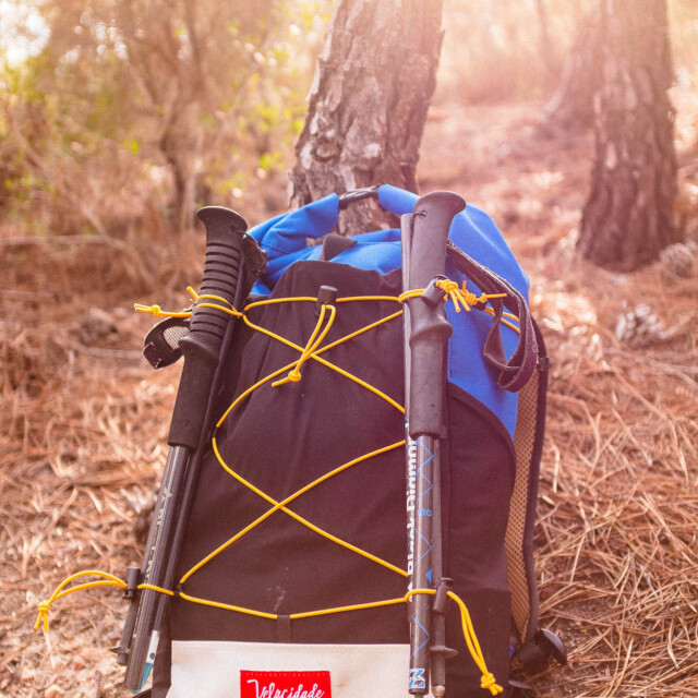 Atelier Velocidade - Polaris (Personnalisable)