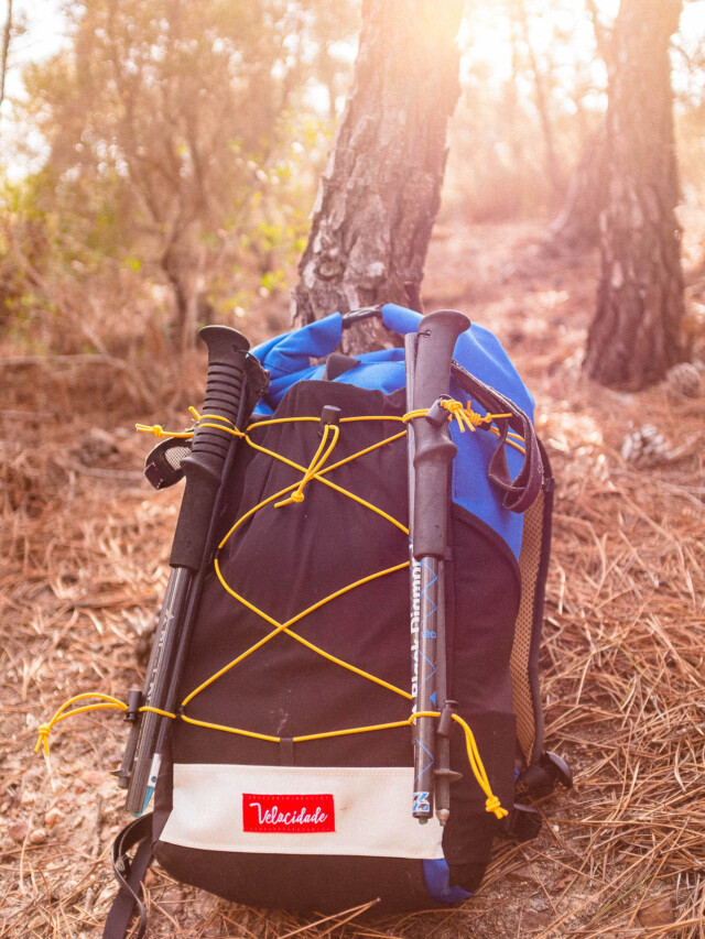 Atelier Velocidade - Polaris (Personnalisable)