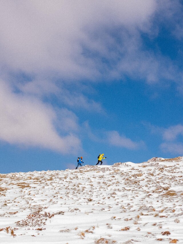 Atelier Velocidade - Polaris (Personnalisable)