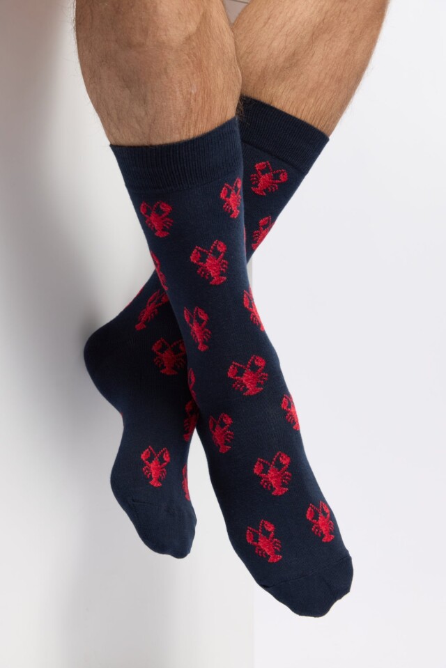 Maison Broussaud - Les homards Armor-lux x Maison Broussaud - chaussettes homme - coton marine – 43/46 / MARINE