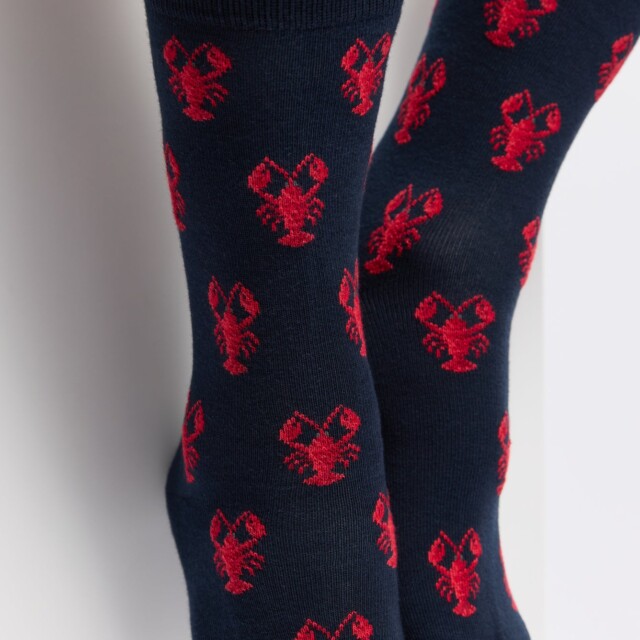 Maison Broussaud - Les homards Armor-lux x Maison Broussaud - chaussettes homme - coton marine – 43/46 / MARINE