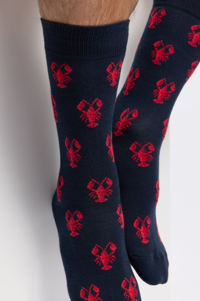 Maison Broussaud - Les homards Armor-lux x Maison Broussaud - chaussettes homme - coton marine – 43/46 / MARINE