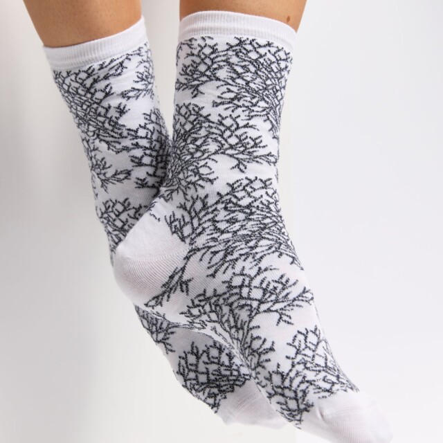 Maison Broussaud - Les "Corail" Armor-lux x Maison Broussaud - chaussettes femme - coton blanc – 39/42 / BLANC/BLEU