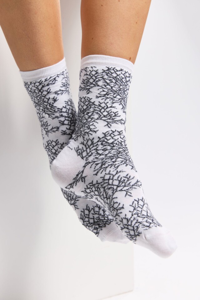 Maison Broussaud - Les "Corail" Armor-lux x Maison Broussaud - chaussettes femme - coton blanc – 39/42 / BLANC/BLEU