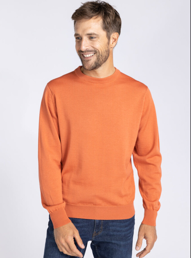 Pull homme col rond laine mérinos orange tendre par la marque MAISON SOLFIN MAISON SOLFIN - Pull homme col rond laine mérinos orange tendre