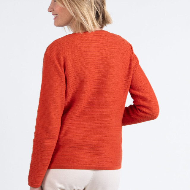 Maison-solfin - Cardigan femme en coton orange terracotta – 50