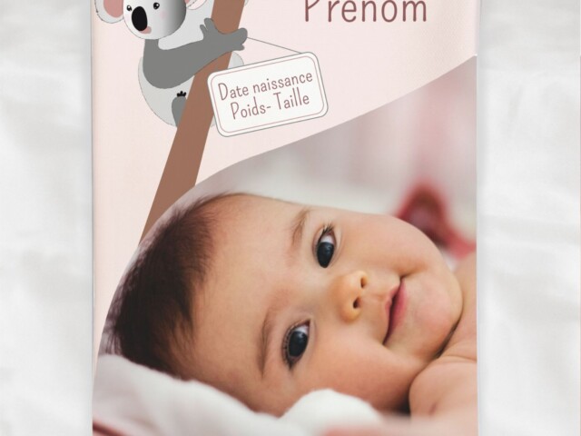 9zxr54KQG SzqfQVLDf ffffff customall - Protège carnet de santé bébé fille personnalisé – Thème Koala – oui
