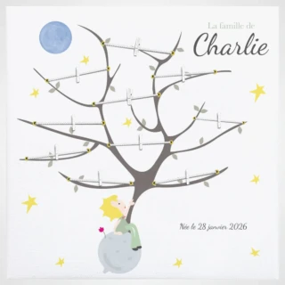 L’Atelier BABY’SPHERE - Arbre généalogique enfant du prince des planètes – Cadre photo évolutif à pinces – Déco murale poétique personnalisée thème univers & étoiles