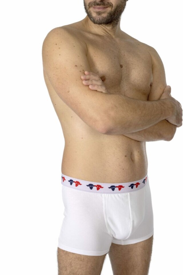 Seize point neuf - BOXER VINCENT GRANDES TAILLES