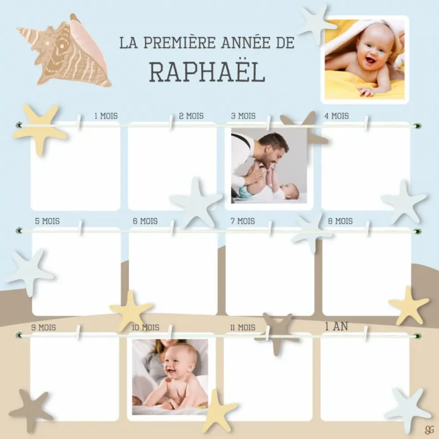 L’Atelier BABY’SPHERE - Cadre 12 mois étoiles de mer et coquillage