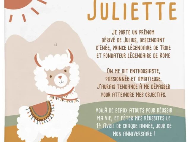 Cadre prenom theme lama Atelier Baby’Sphère - Cadre prénom personnalisé pour enfant – Thème Lama