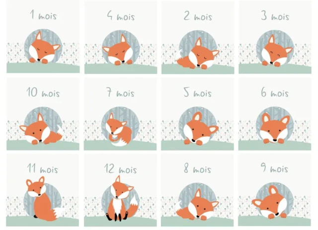 Atelier Baby’Sphère - Coffret Naissance Petit Renard – Cadeau Bébé Personnalisé et Évolutif