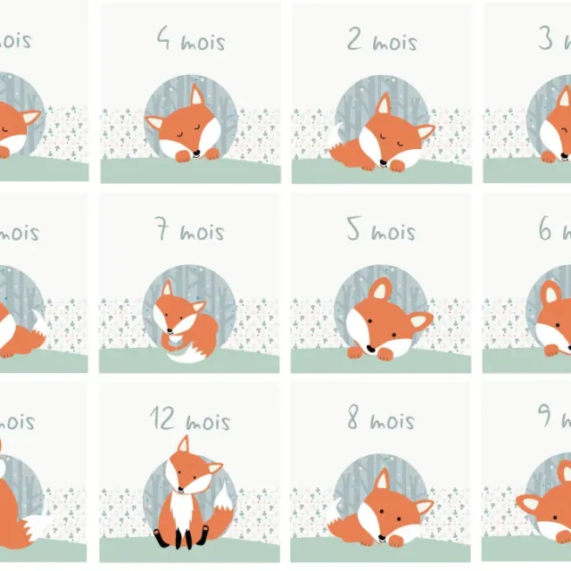 Atelier Baby’Sphère - Coffret Naissance Petit Renard – Cadeau Bébé Personnalisé et Évolutif