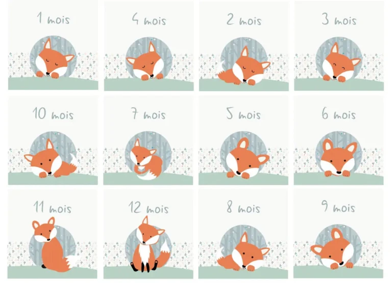 Atelier Baby’Sphère - Coffret Naissance Petit Renard – Cadeau Bébé Personnalisé et Évolutif – Oui