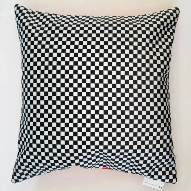 Atelier Baby’Sphère - Coussin d'un fan de voiture en route vers l'école