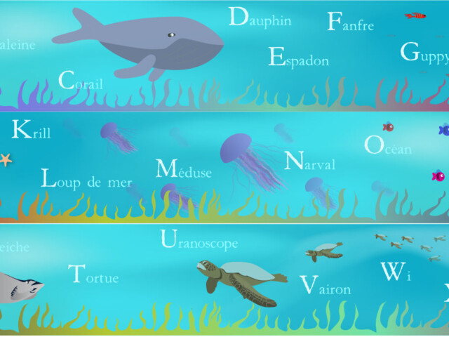 Atelier Baby’Sphère - Frise abécédaire des poissons de l'océan