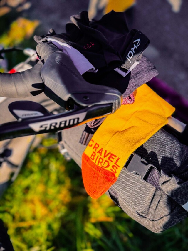 Atelier Velocidade - Chaussettes Velocidade X Gravel Birds – Écru/Jaune/Orange / 36-40