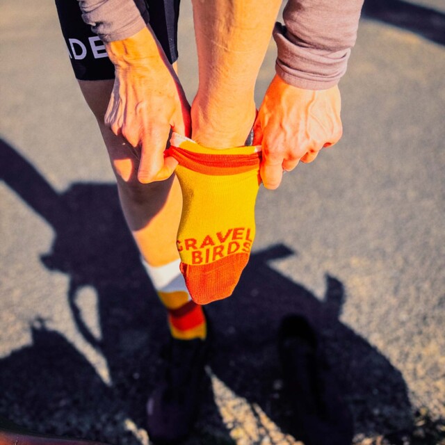 Atelier Velocidade - Chaussettes Velocidade X Gravel Birds – Écru/Jaune/Orange / 36-40
