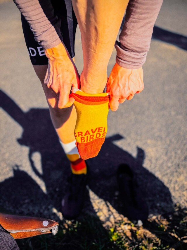Atelier Velocidade - Chaussettes Velocidade X Gravel Birds – Écru/Jaune/Orange / 36-40
