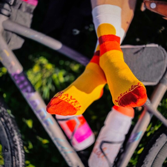 Atelier Velocidade - Chaussettes Velocidade X Gravel Birds – Écru/Jaune/Orange / 36-40